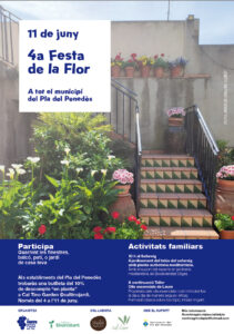 4 festa flor pla penedes - cal tino garden