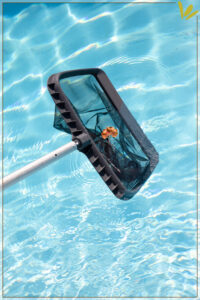 Piscines-Piscinas-Jardineria-Paisatgisme-Paisajismo-Barcelona
