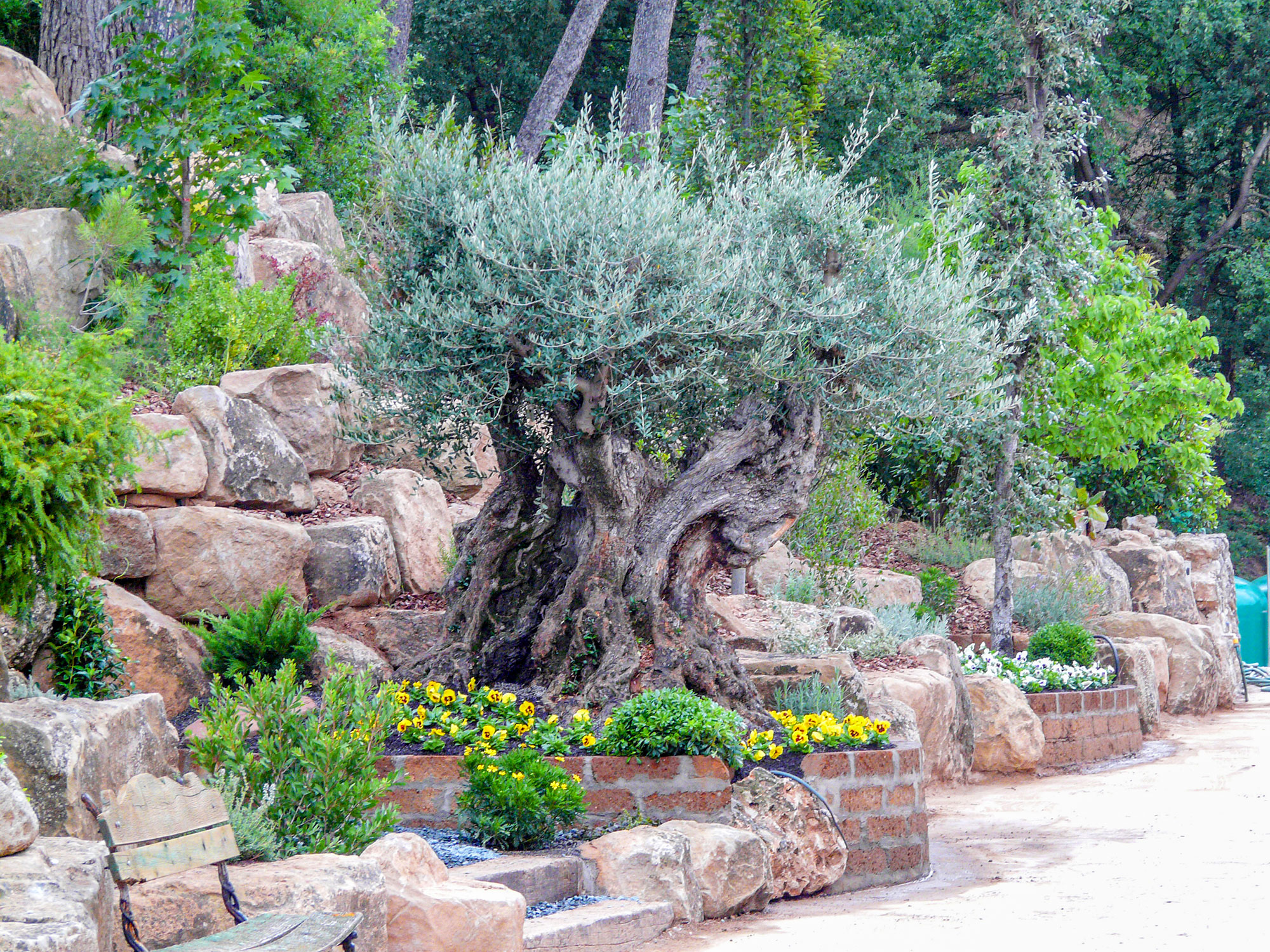 paisatgisme-paisajismo-jardineria-barcelona-igualada-vilafranca-penedes-capellades-catalunya-cal-tino-garden-jardi-caves-torello