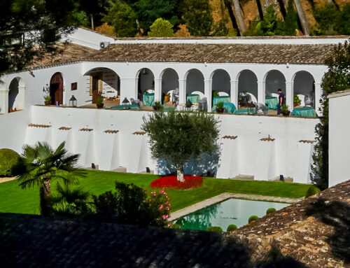 Zona enjardinada a les Caves Torelló