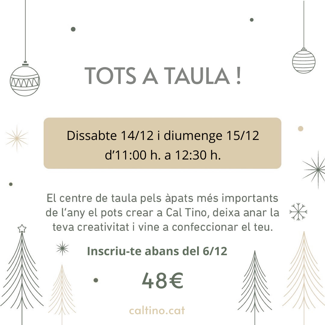 Taller Navidad Cal Tino Garden