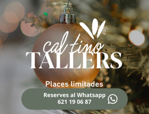 Crea El teu Nadal a Cal Tino Garden