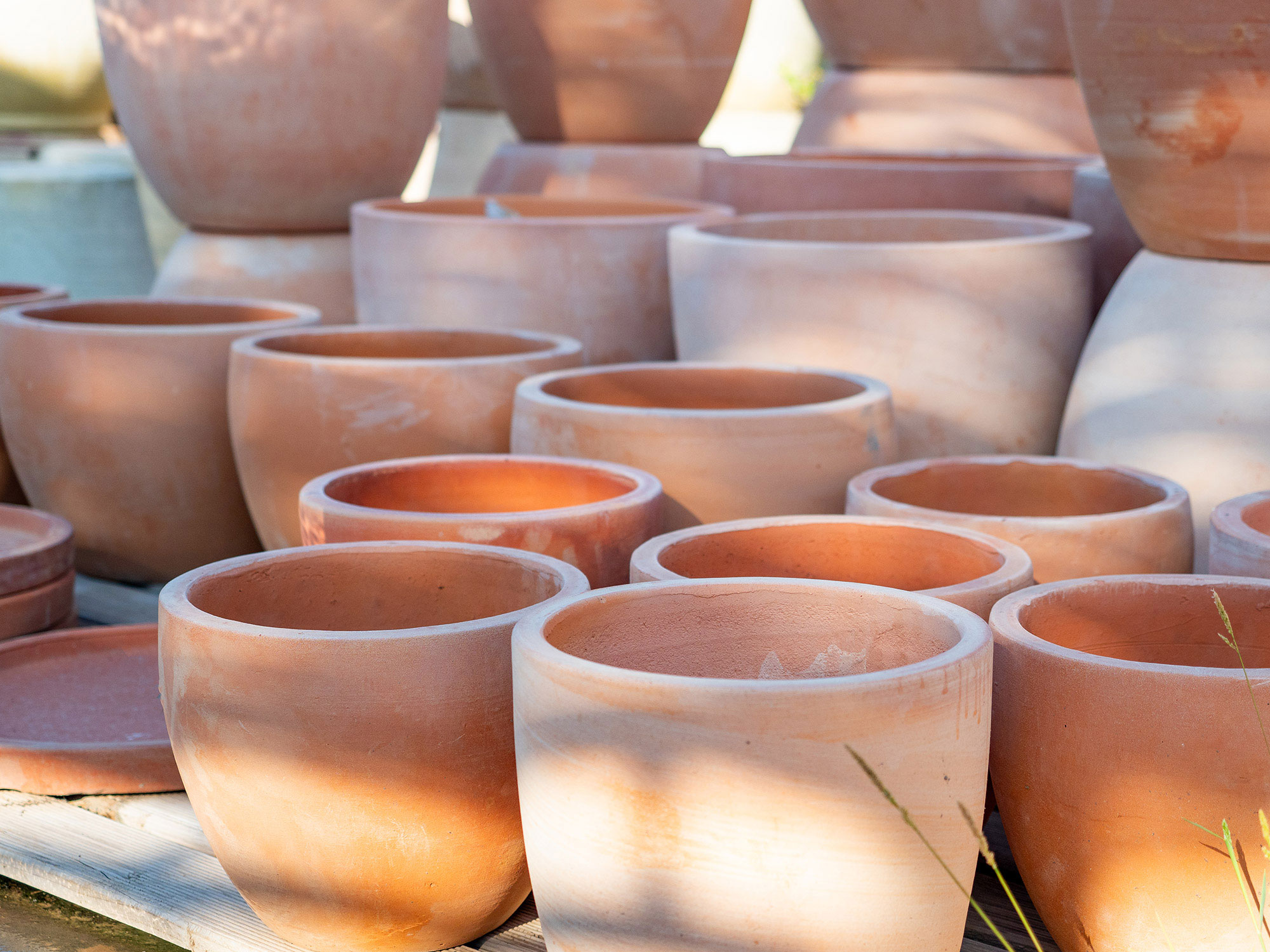 jardi-jardin-paisatgisme-paisajismo-jardineria-barcelona-igualada-vilafranca-penedes-capellades-cal-tino-garden