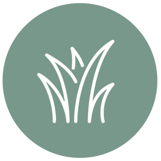 mm-ast-icon-8769