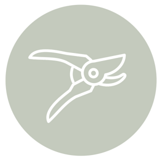 mm-ast-icon-8771