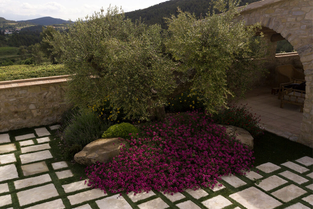 Construccio_de_jardi_ideal_per_celebracions_4