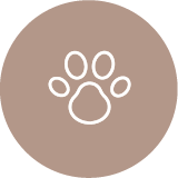 mascotes@2x