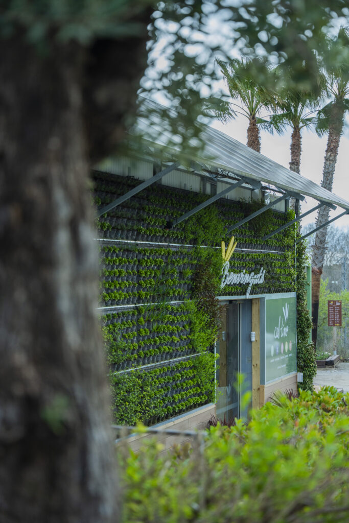 rubez_fac╠ºana_g_17