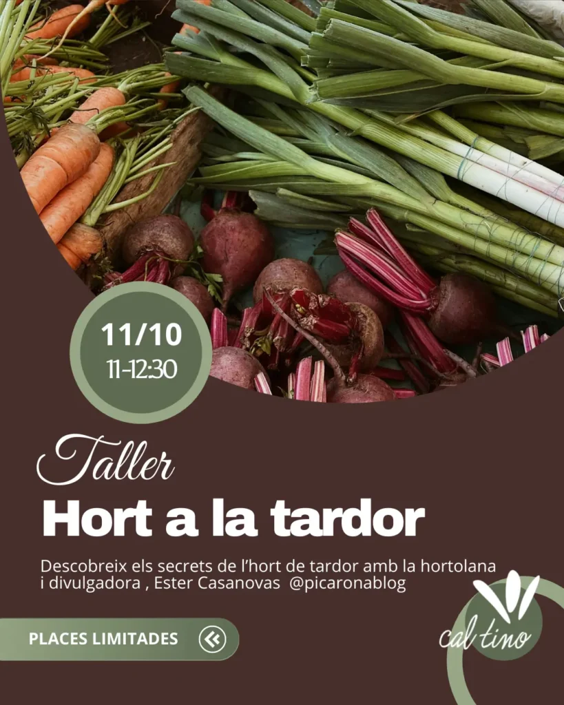 Taller Hort 1
