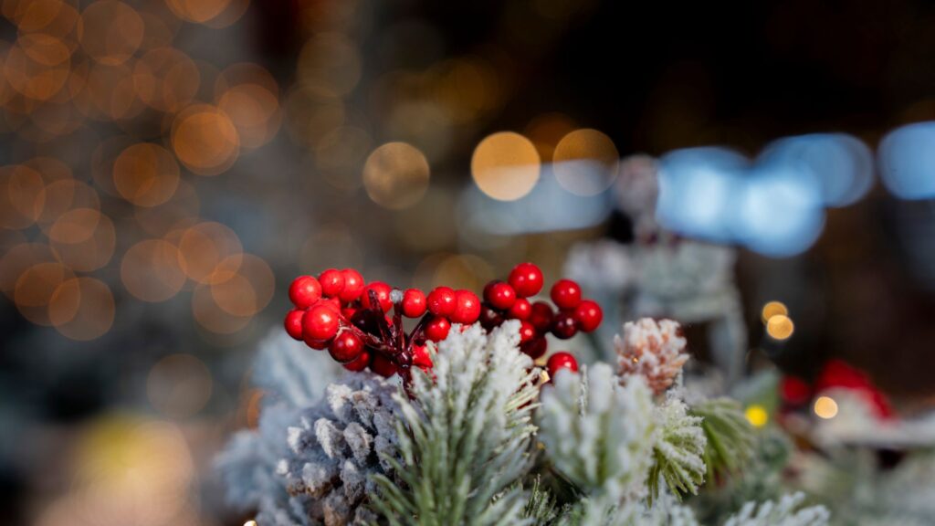 5 Navidad en Barcelona
