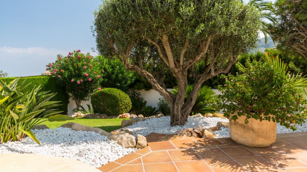 jardin-mediterraneo