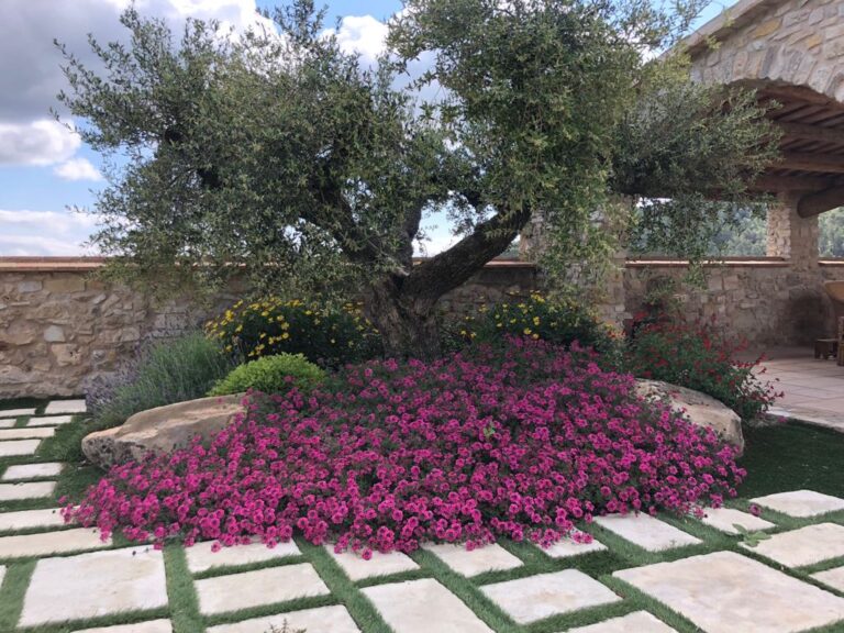 Jardines mediterráneos y de bajo mantenimiento