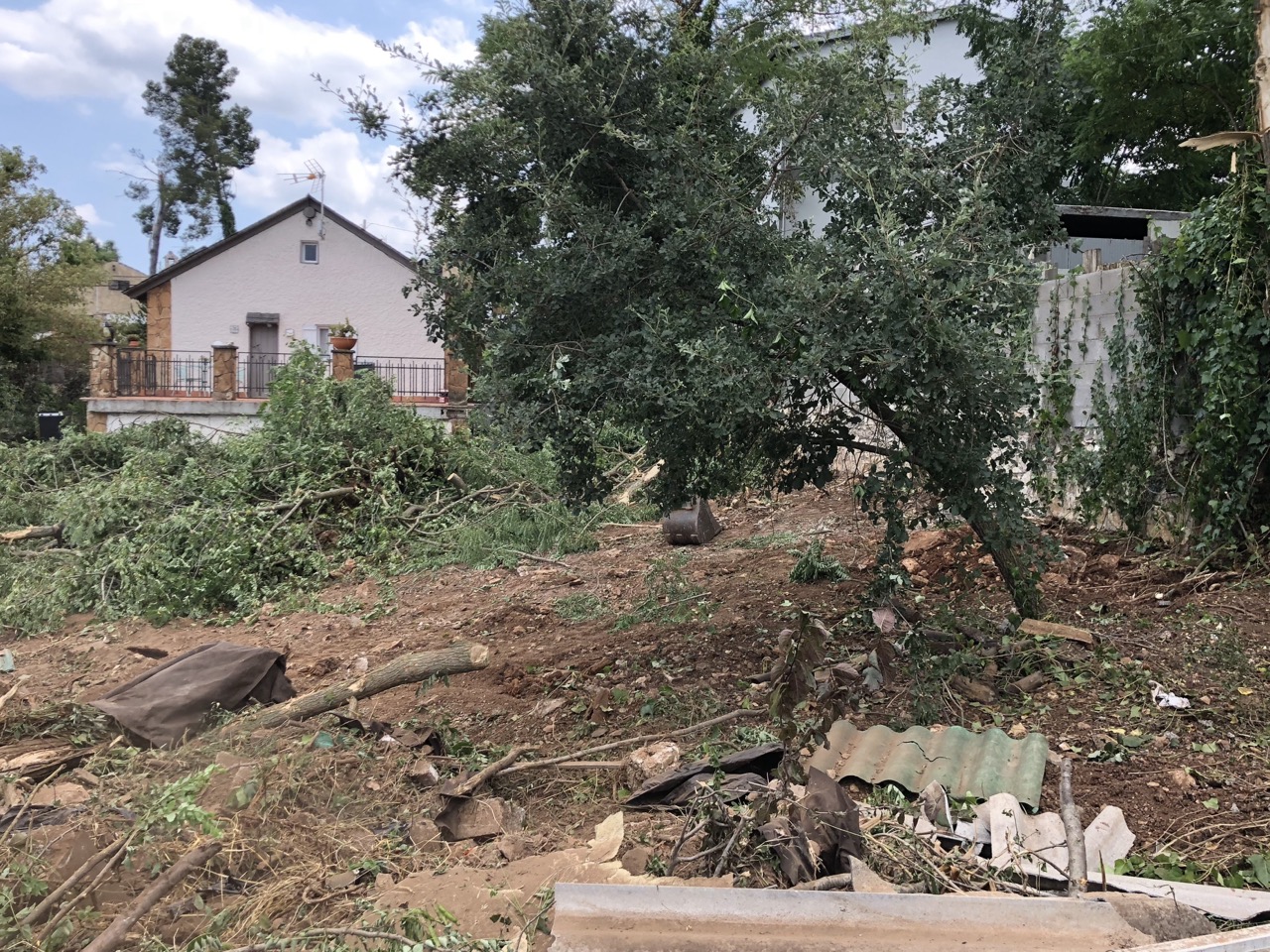Antes — De parcela desordenada a jardín habitable