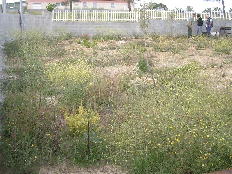 Antes — De patio duro a espacio verde útil