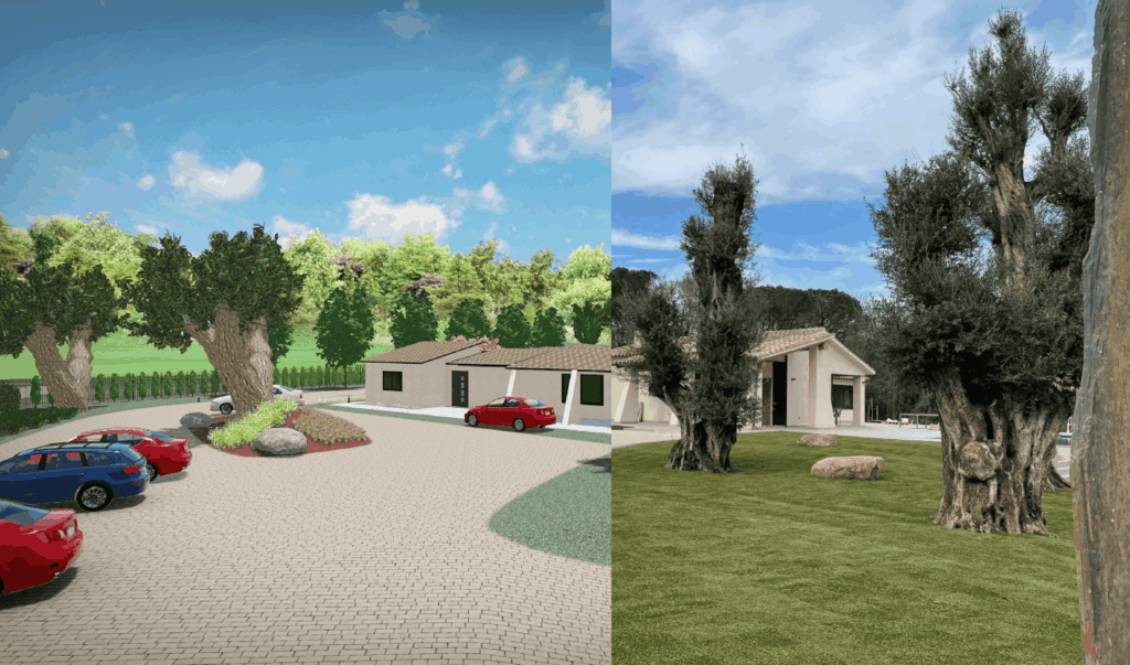 transicion-proyecto-1
