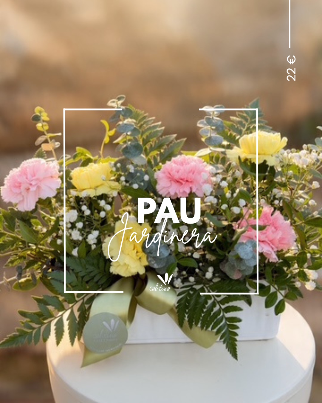 Jardinera Pau amb flors roses, grogues i blanques · Cal Tino, Tots Sants 2026
